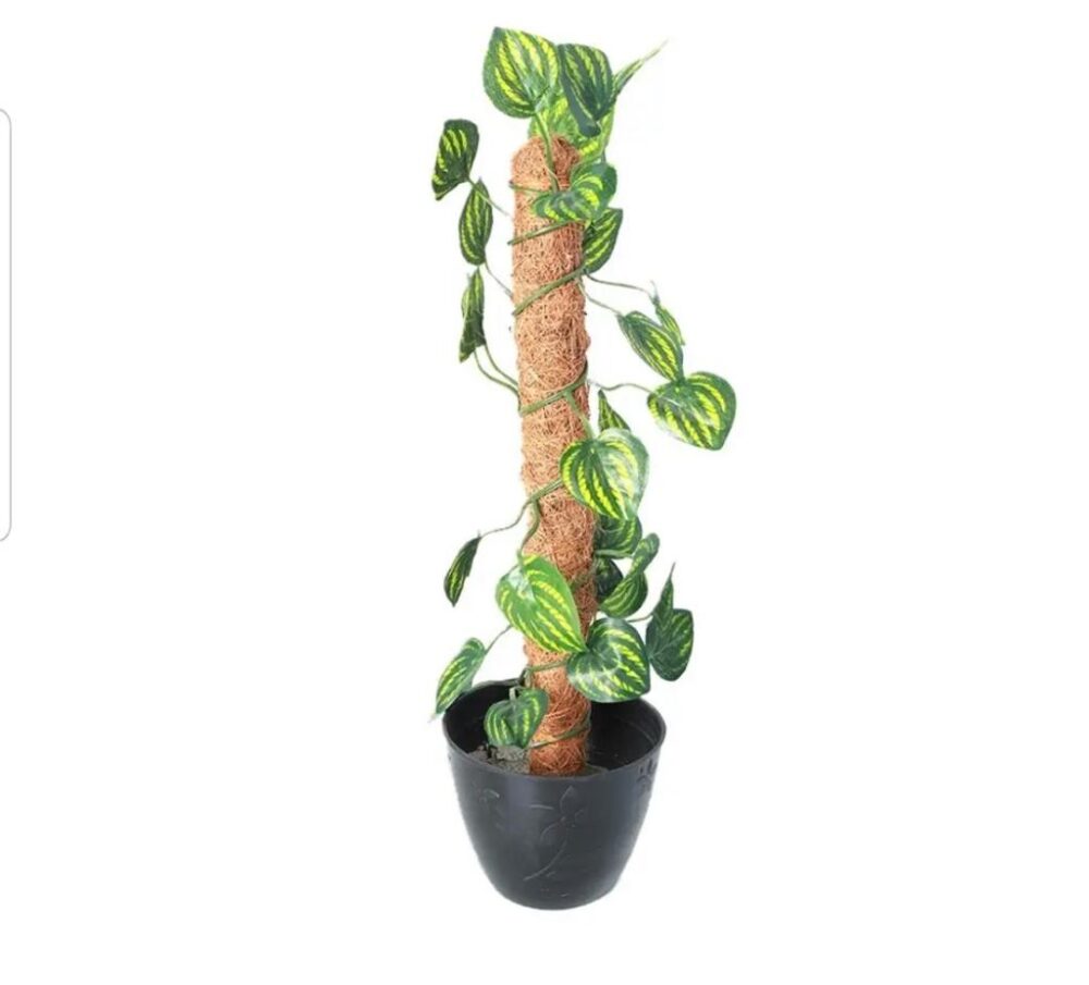 Pack of 4 Random High Quality Artificial Plants - Image 4