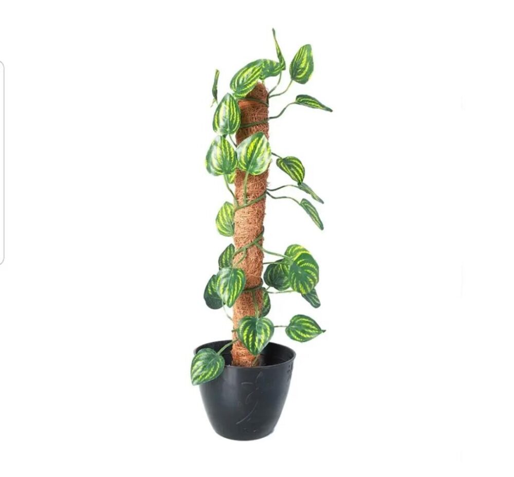 Pack of 4 Random High Quality Artificial Plants - Image 5