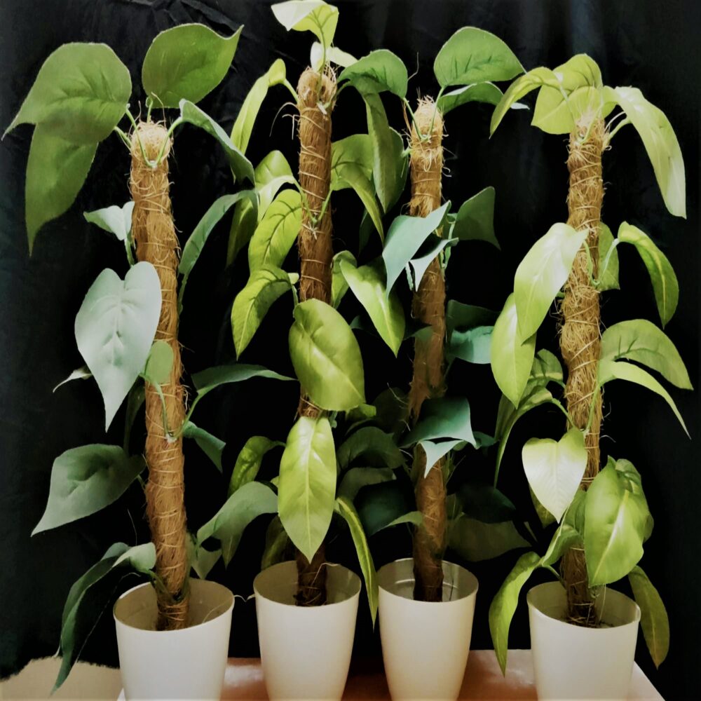 Pack of 4 Random High Quality Artificial Plants - Image 2